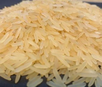 Sugandha Golden Sella Rice