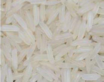 PR 11/14 White Sella